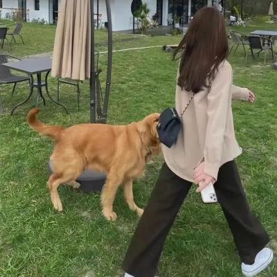 时光教会我爱你第二季